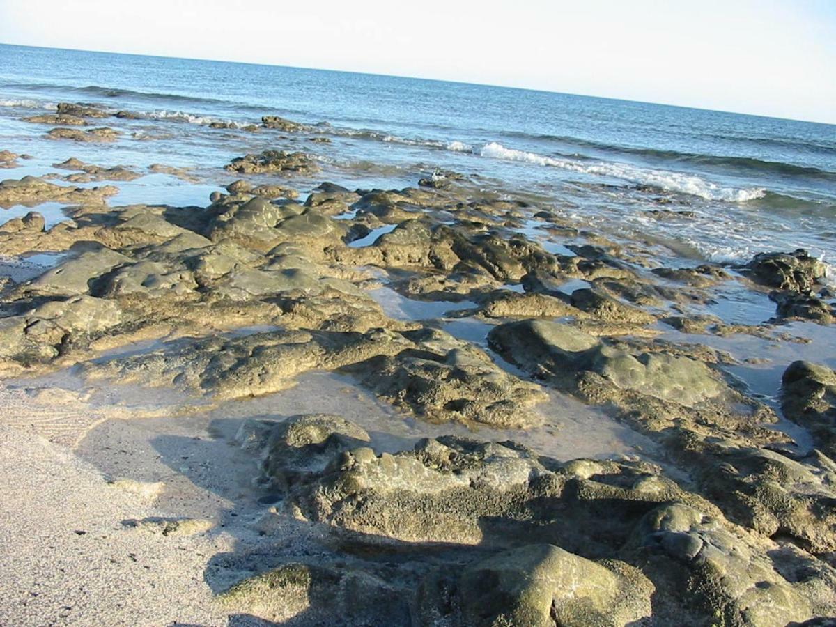 Cotillosand Bagian luar foto